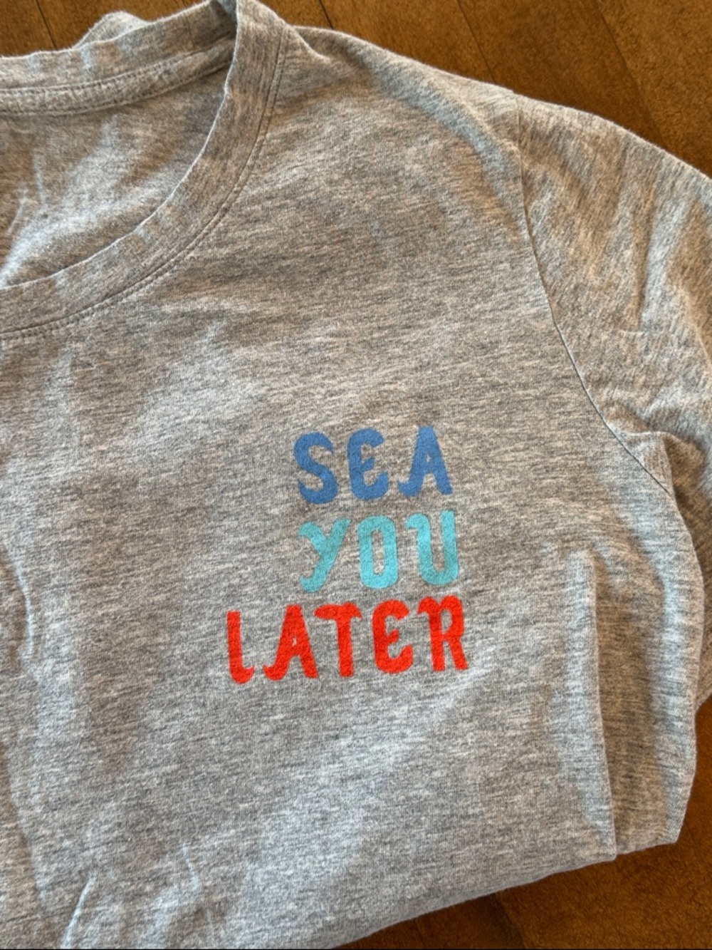 GAP Gray T-Shirt with Blue and Red Accents